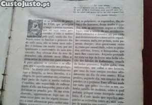 imagem_19