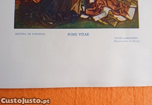 imagem_7