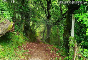 imagem_24