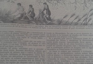 imagem_3