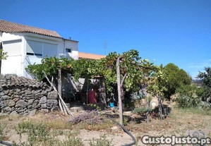 Quinta T6 em Gonçalo de 215,00 m²