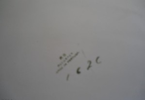 imagem_7