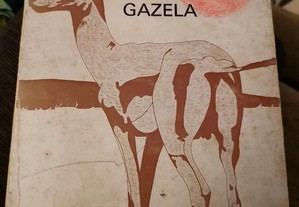Ali João Lúcio e a Gazela