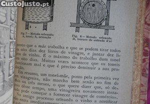 imagem_8