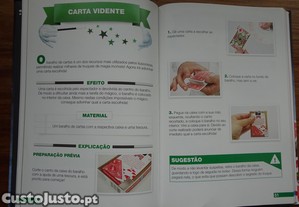 imagem_2
