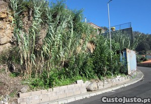 imagem_4