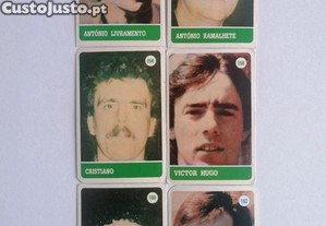 imagem_1