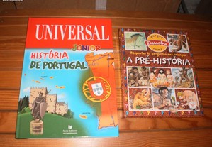imagem_2