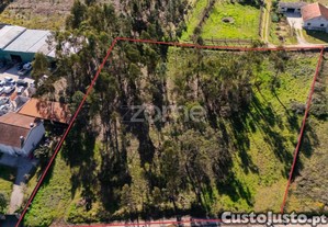 Terreno Com 4380M2 A 10 Minutos Do Centro De Braga