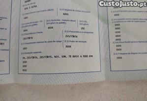 imagem_11