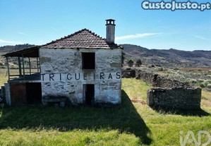 imagem_27