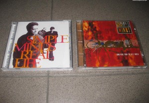 2 CDs dos Simple Minds/Portes Grátis