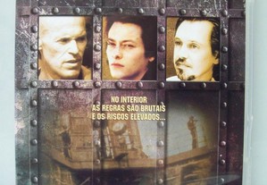 DVD - "Escola de Criminosos"