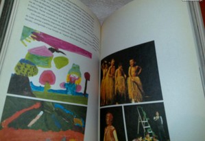imagem_5