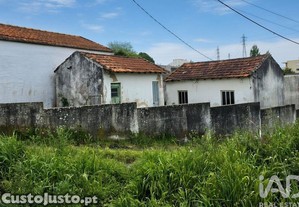 imagem_21