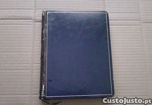 imagem_2