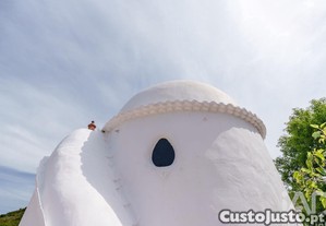 imagem_13