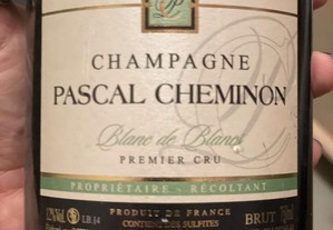 Pascal cheminon - champagne blanc de blancs premier cru ml. 750