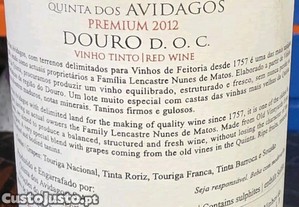 imagem_2