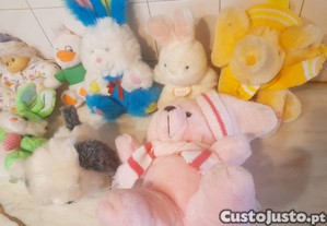 imagem_6