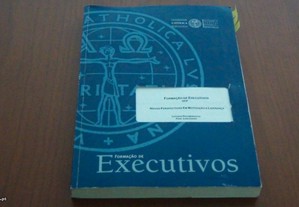 Formação de Executivos UCP Novas perspectivas Em Motivação e Liderança Prof Luis Caeiro