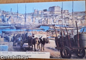 imagem_4