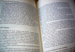 imagem_8
