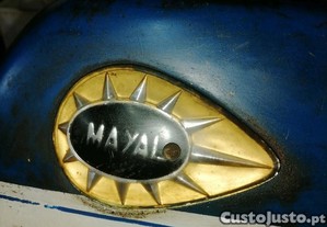 imagem_1