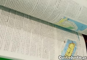 imagem_7