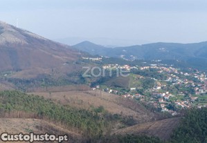 Terreno Florestal Urbanizável Com 42.000 M2 -...