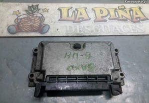 imagem_2