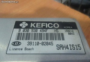 imagem_4