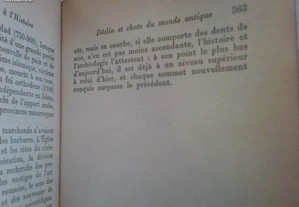 imagem_7
