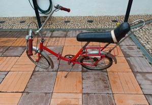 Bicicleta Topo Gama 100000Km