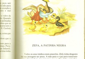 imagem_5
