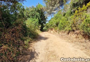 imagem_15