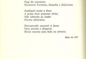 imagem_7