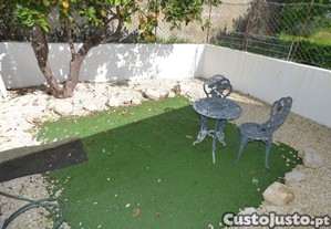 imagem_12