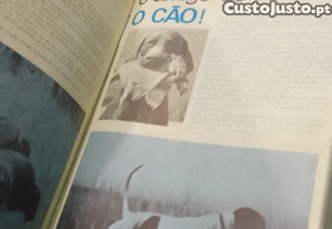 imagem_12