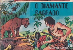 imagem_3