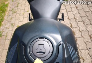 imagem_11