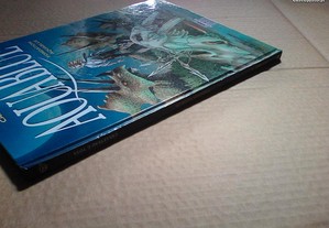 imagem_3