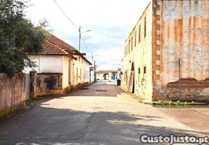imagem_16