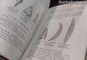 imagem_7