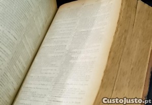 imagem_4