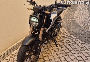 imagem_1