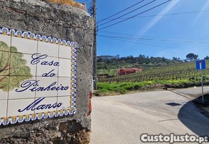 imagem_30