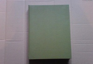 imagem_3