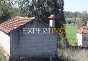 imagem_8