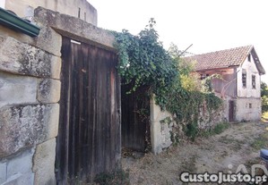imagem_12
